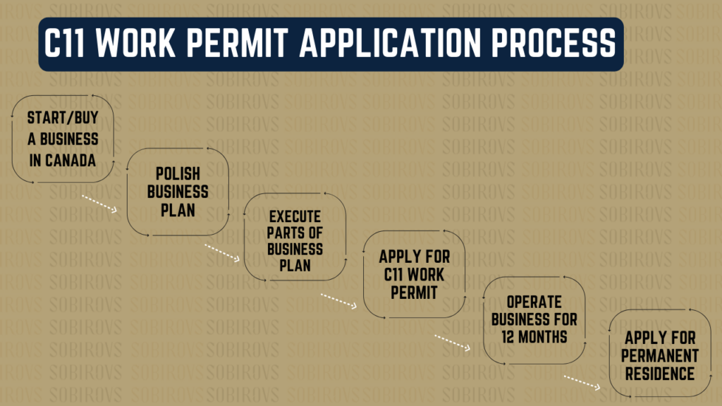 Flowchart showing C11 Work Permit application process