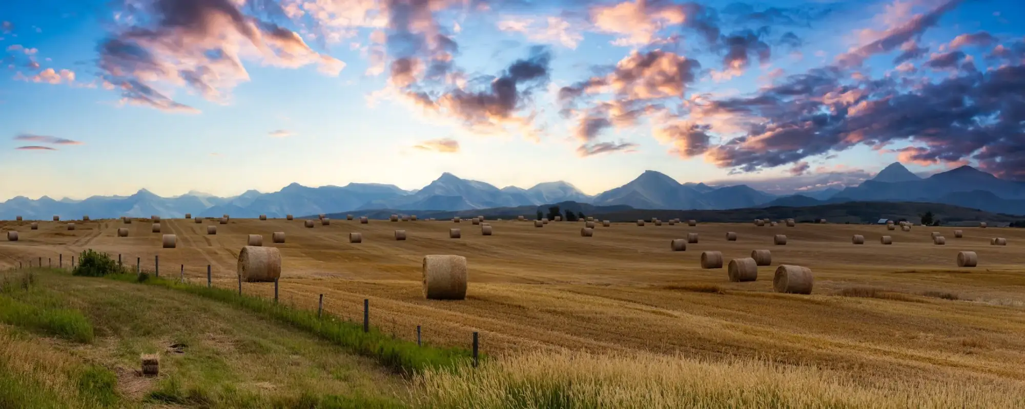 Rural Alberta communities are ideal for business immigration, entrepreneurship and quality of life.