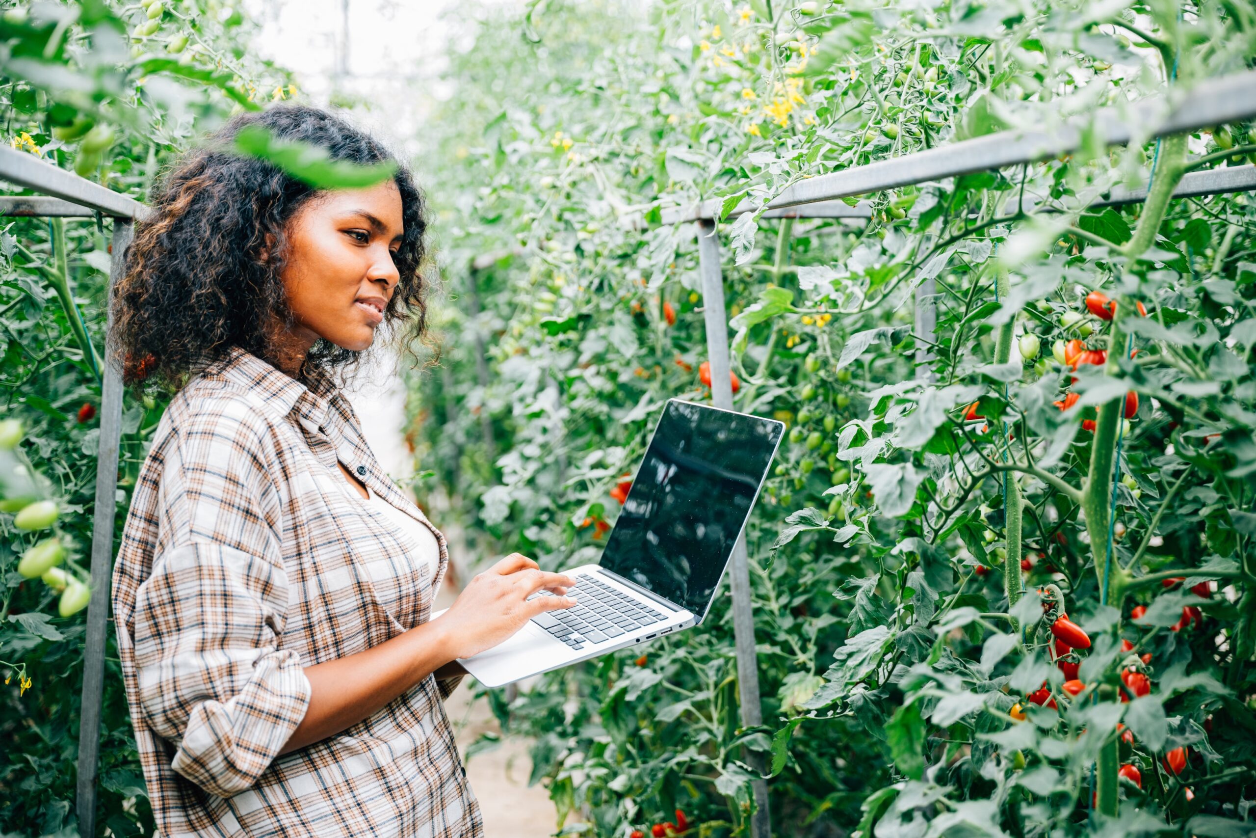 Agriculture and AgriTech opportunities in Canada