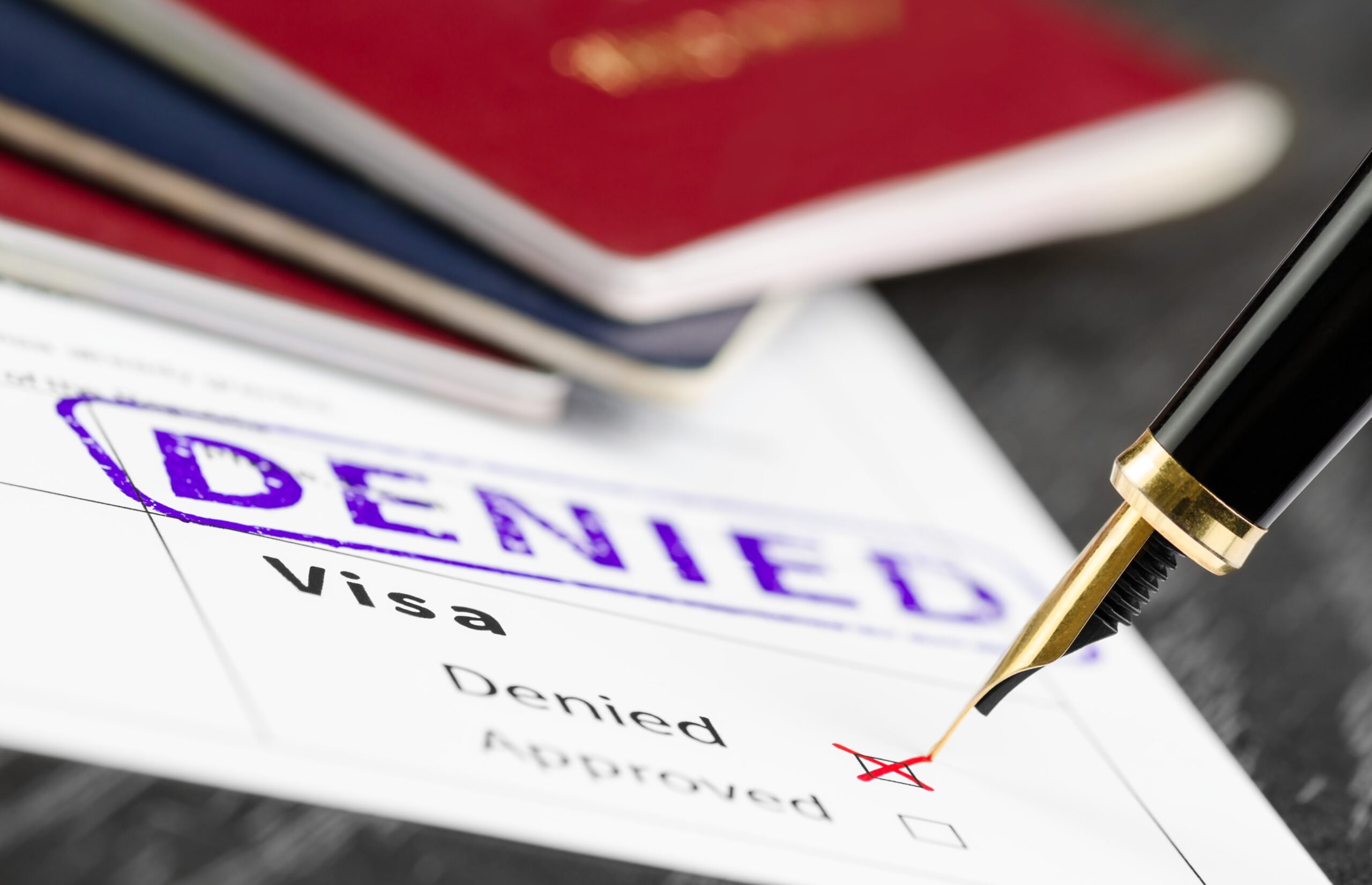 Immigration officer denying a visa application due to insufficient business activity and lack of genuine intent.