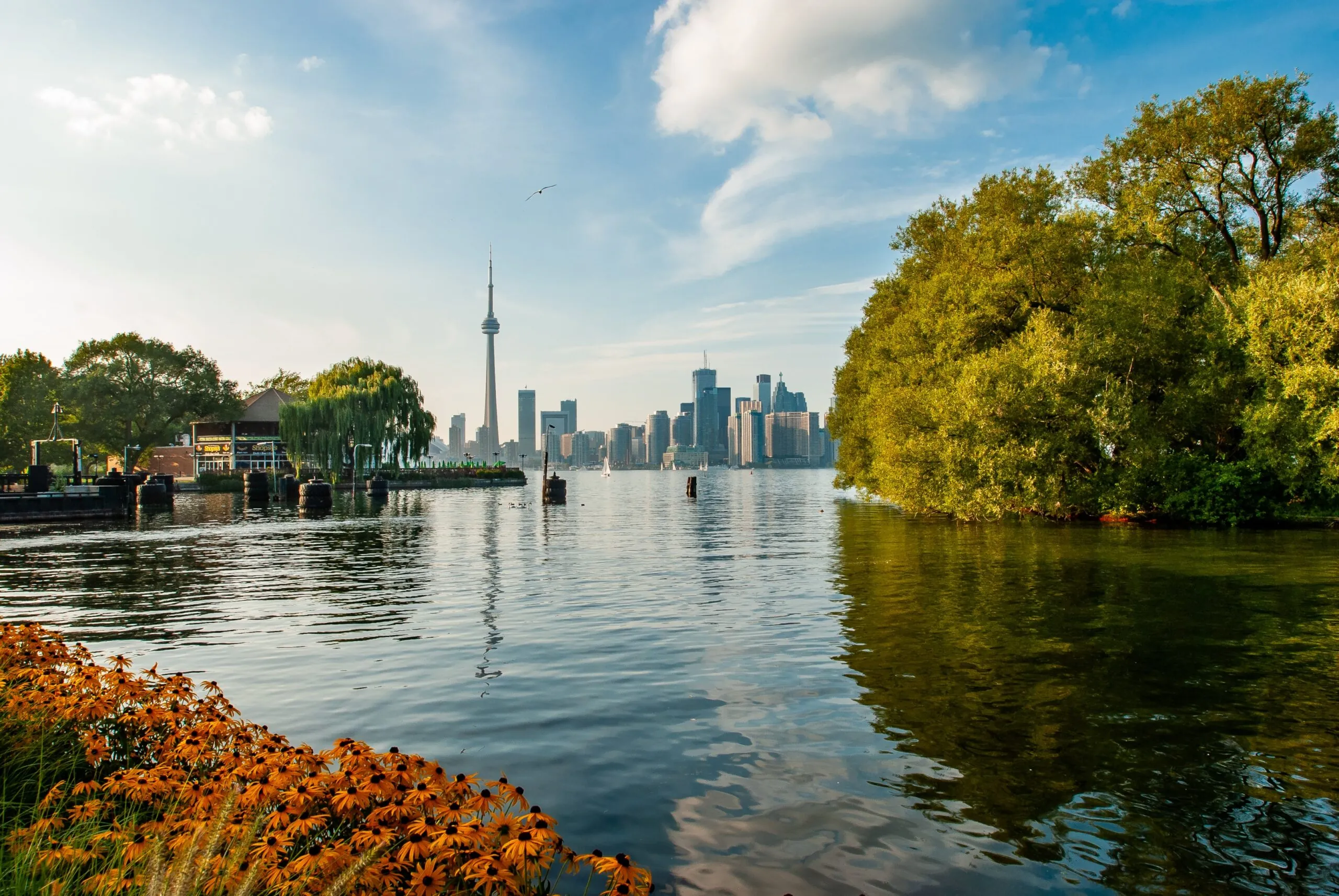 Foreign national business partner and Canadian citizens working together on a proposed business in Ontario.