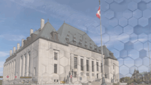 Examples of Business Immigration Refusals – C11 Work Permits