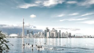 Exciting Opportunity: Established Business for Sale in Toronto